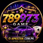 789973 Game