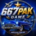 667PAK Game