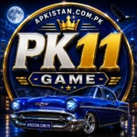 PK11 Game