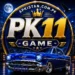 PK11 Game