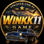 Winkk11 Game