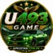 U493 Game